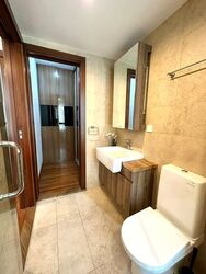 Holland Link (D10), Terrace #592919911